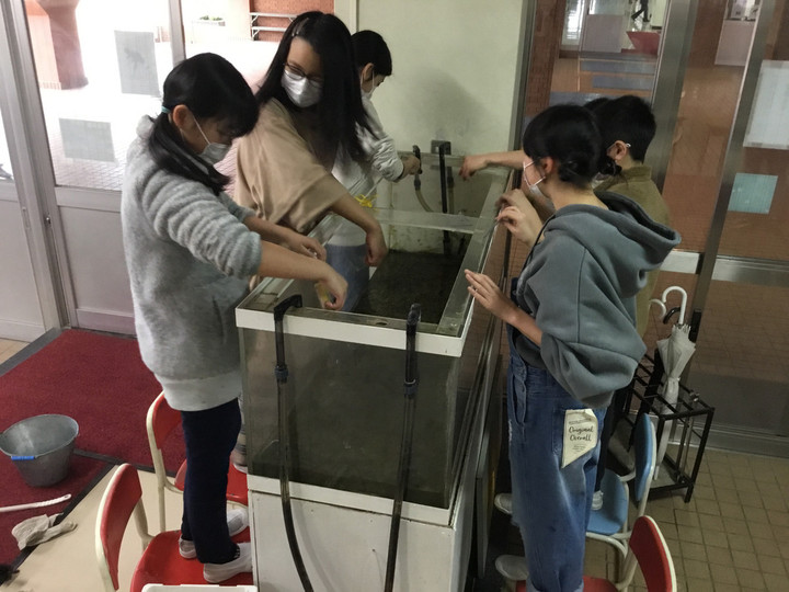 Ebe48daae7ad4903be308717db72cd62