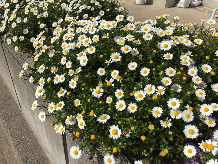 Bbcc85411f534b2a91dc6b8d5dc0e691