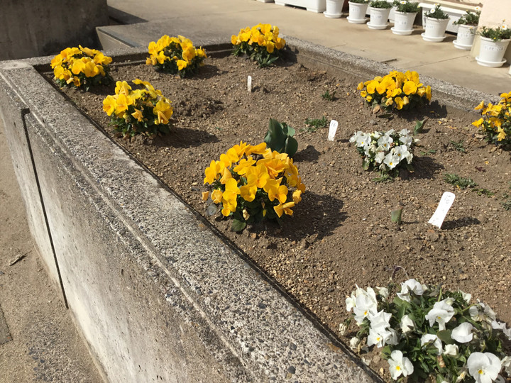 Bd6efa38a31b48deb8e6fa3676c9898b