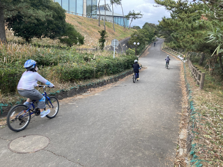 7e66807fc004456eb8761aca843c243e