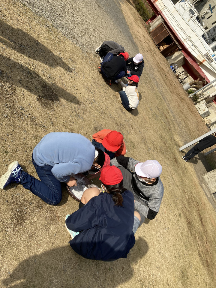 Bbad3d37d7af4ee4ba782709295c33d5