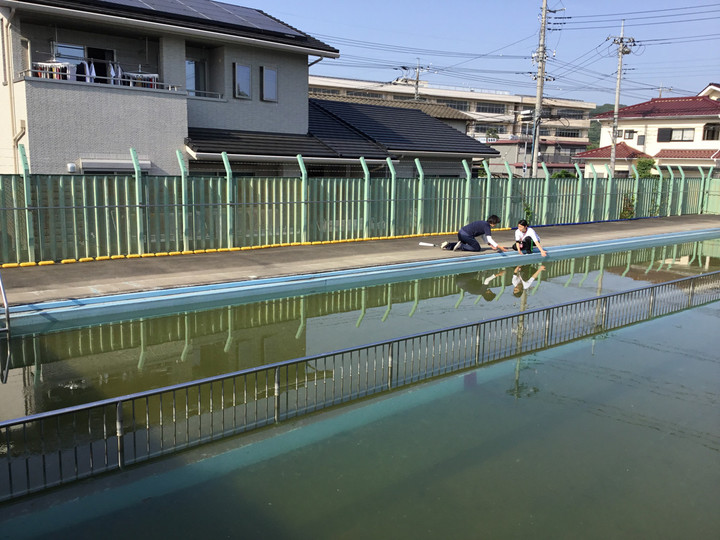 Cf6a2134b54a45848b6ed89ba66e8216