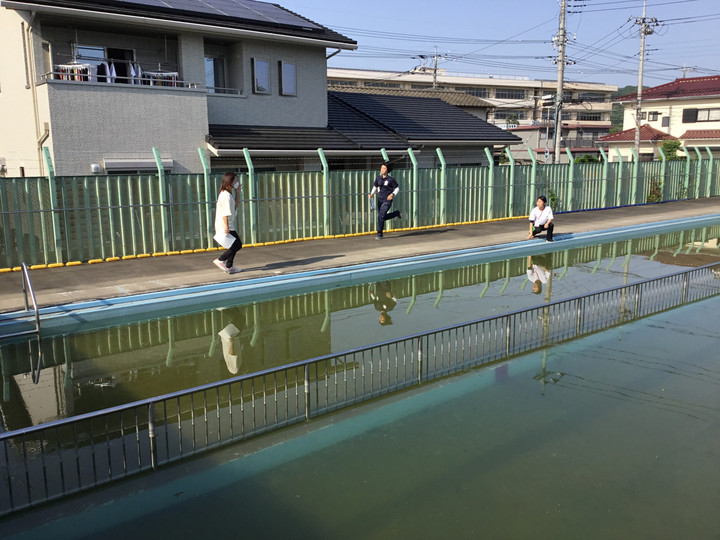 F35eefe0b49c462e82b20d830586dd4f