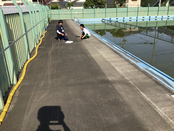 F59135541b6345a29c852185225a4096