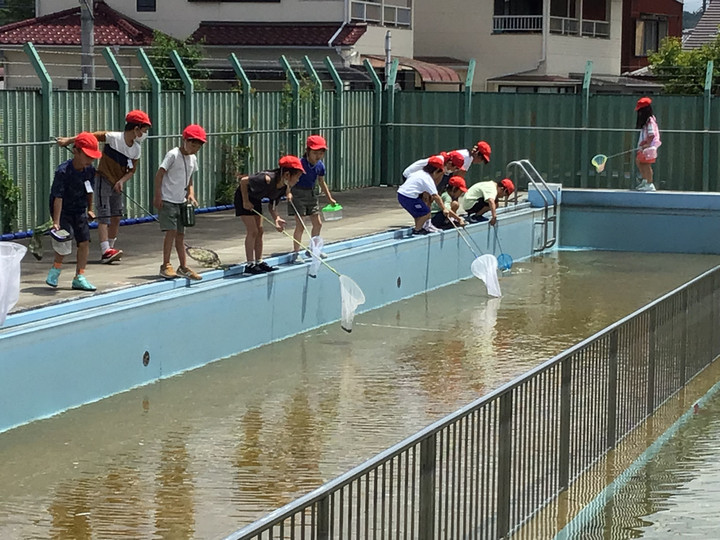 311bb63edbf94155911b408cdbb2678e