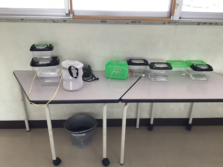 E8ee2865ab904287a63d394c3eb093e6