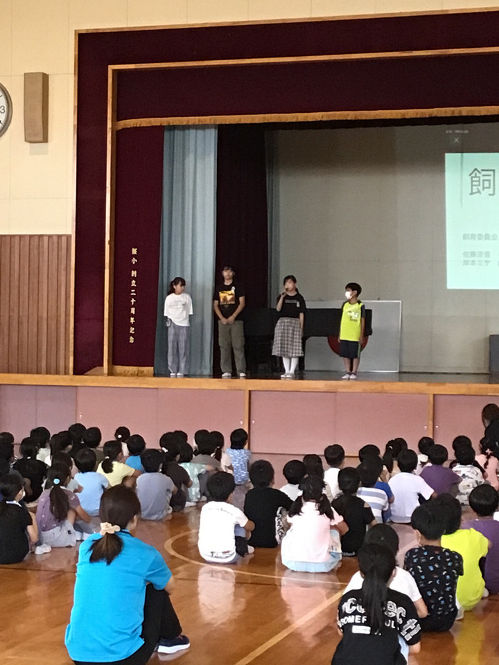 741caf2c88414eb68fb56c2c7f08ea83