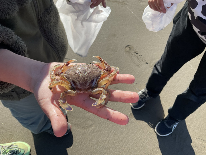 0da9cc85703b4c5780205e0d63c923bd